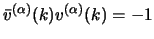 $ \bar v^{(\alpha)}(k)
v^{(\alpha)}(k)=-1$