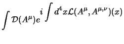 $\displaystyle \int {\cal D}(A^\mu)
e^{\displaystyle i\int d^4x {\cal L}(A^\mu,A^{\mu,\nu})(x)}
$